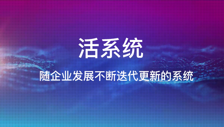 软件定制开发|活系统